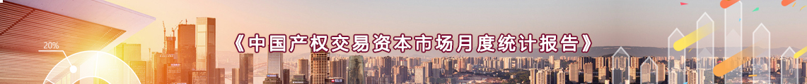 中国产权交易资本市场月度统计报告